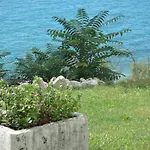 Mimoza Apartment Brist