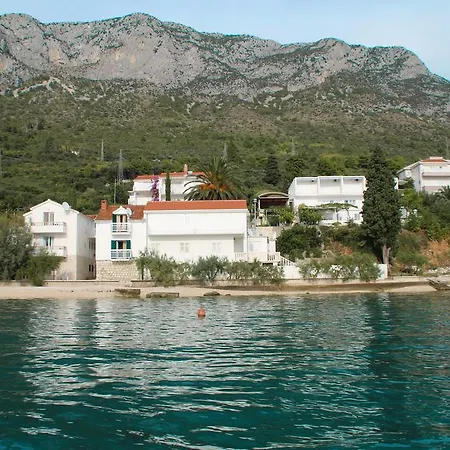 Mimoza