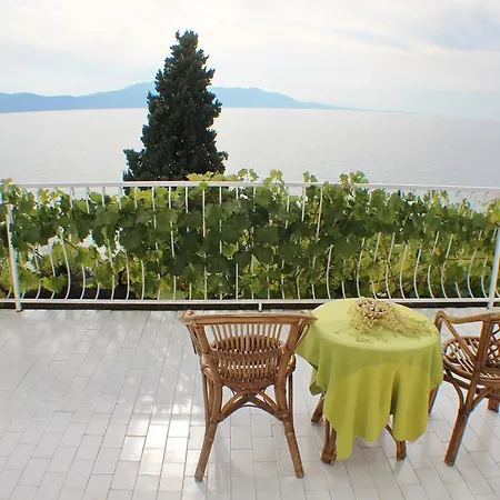 Mimoza Appartement Brist