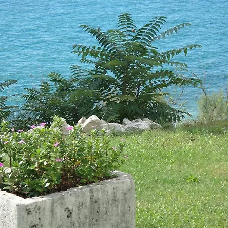 Mimoza Apartment Brist