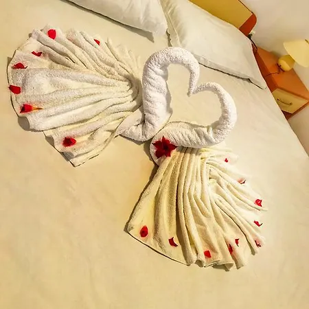 Apartment Mimoza Brist