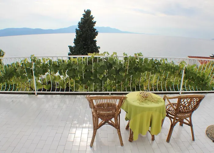 Mimoza Lejlighed Brist